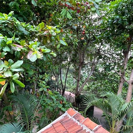 New Roy Guest House Kalkudah  Exterior photo