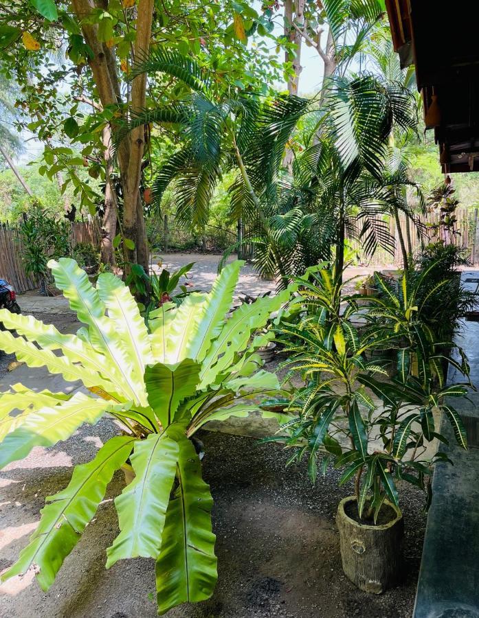 New Roy Guest House Kalkudah  Exterior photo