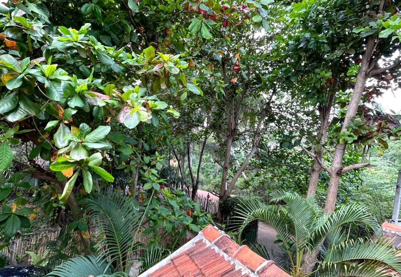New Roy Guest House Kalkudah  Exterior photo