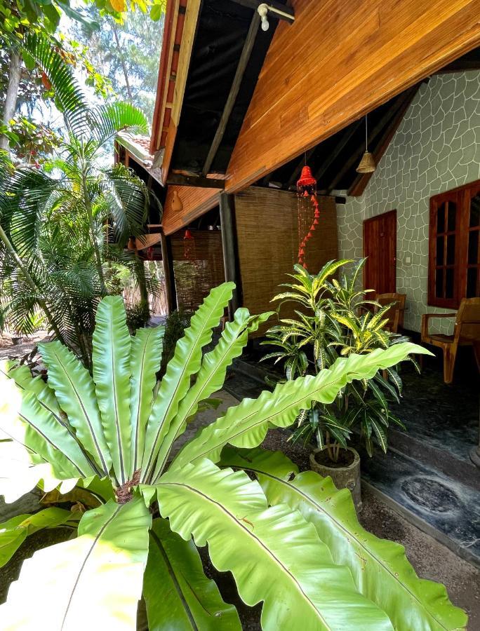 New Roy Guest House Kalkudah  Exterior photo